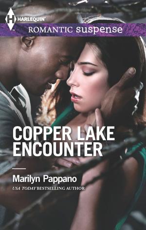 Cover of the book Copper Lake Encounter by Annie West
