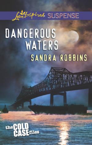 Cover of the book Dangerous Waters by Vicki Lewis Thompson