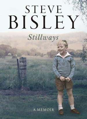 Cover of the book Stillways by Jill Bowen