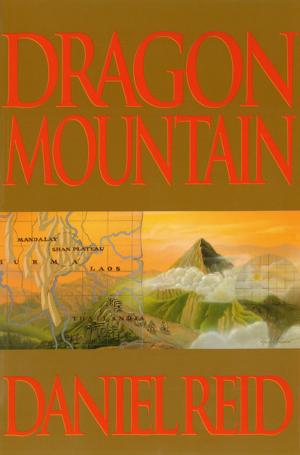 Cover of the book Dragon Mountain by Yuki Shimada, Taeko Takeyama