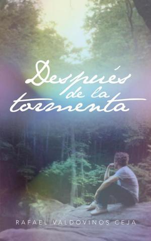 Cover of the book Después De La Tormenta by Moisés Trápala