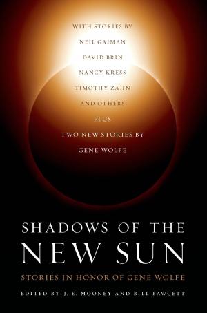 Cover of the book Shadows of the New Sun by Dan Wells