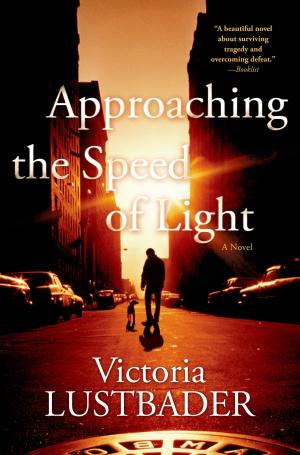 bigCover of the book Approaching the Speed of Light by 