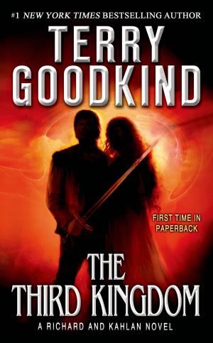 Cover of the book The Third Kingdom by Jenna Black