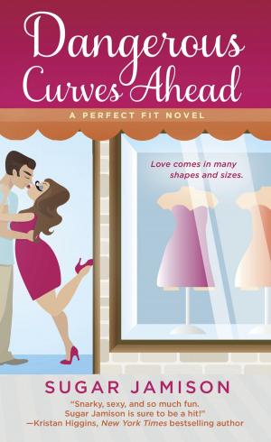 Cover of the book Dangerous Curves Ahead by Brian Clegg