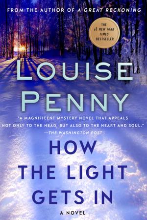 Cover of the book How the Light Gets In by Penny de Byl