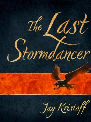 bigCover of the book The Last Stormdancer by 