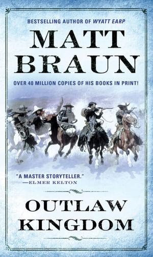 Book cover of Outlaw Kingdom