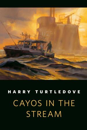 Cover of the book Cayos in the Stream by Geoff Ryman
