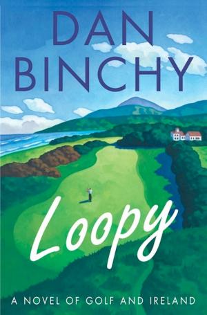bigCover of the book Loopy by 