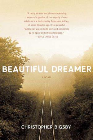 Cover of the book Beautiful Dreamer by Yrsa Sigurdardottir