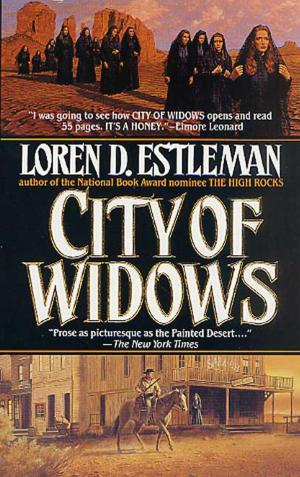 Cover of the book City of Widows by Mick Farren