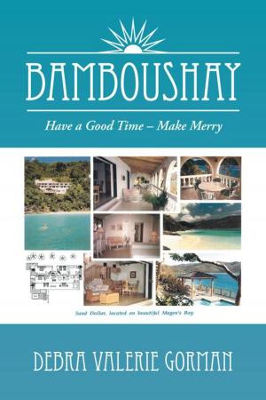 Cover of the book Bamboushay by Alan Whichello