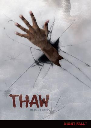 Cover of the book Thaw by Laura Wright