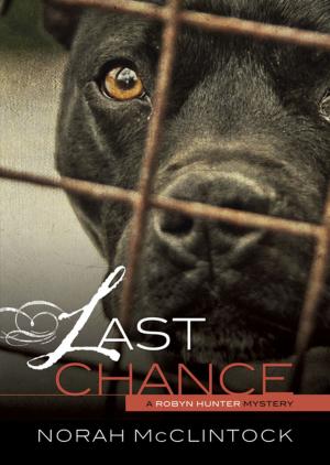 Cover of the book Last Chance by Bryan Methods