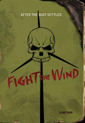 Cover of the book Fight the Wind by Amber J. Keyser