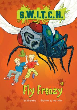 Cover of the book Fly Frenzy by Laurie Friedman