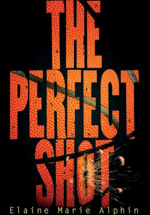 Cover of the book The Perfect Shot by Robert Yeoman