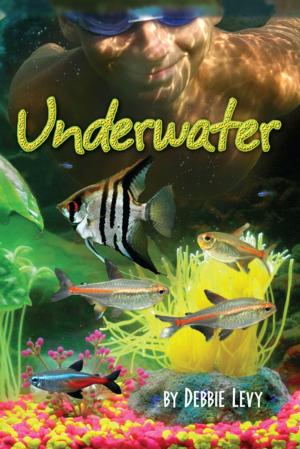 Cover of the book Underwater by Michael Grant