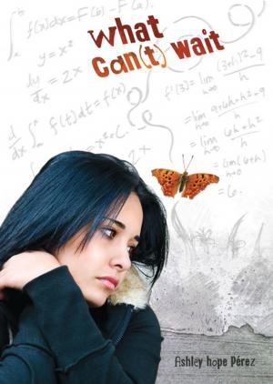 Cover of the book What Can't Wait by Raelyn Drake