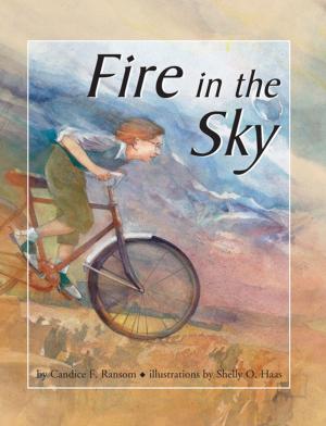 Cover of the book Fire in the Sky by Laura Hamilton Waxman
