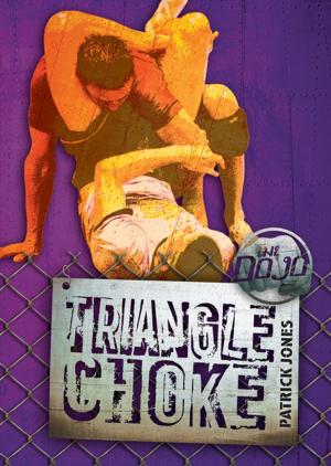 Cover of the book Triangle Choke by Stephanie Watson
