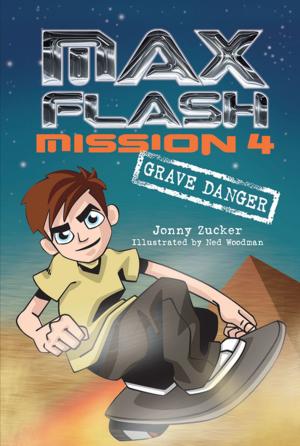 Cover of the book Mission 4: Grave Danger by Nancy Carlson
