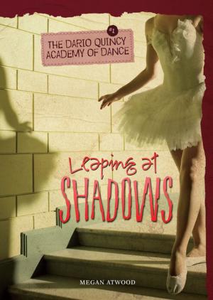 Cover of the book Leaping at Shadows by Stephanie Brooks