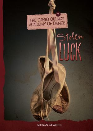 Book cover of Stolen Luck