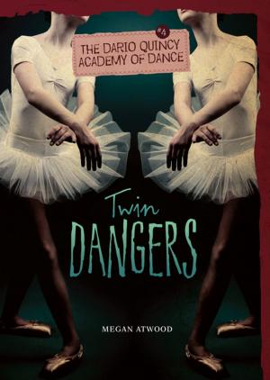 Cover of the book Twin Dangers by Matt Doeden