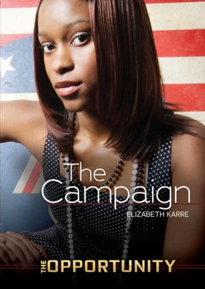 Cover of the book The Campaign by Laurie Friedman