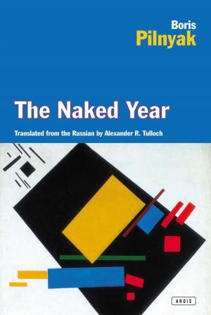 Cover of the book The Naked Year by Rhoda Lerman