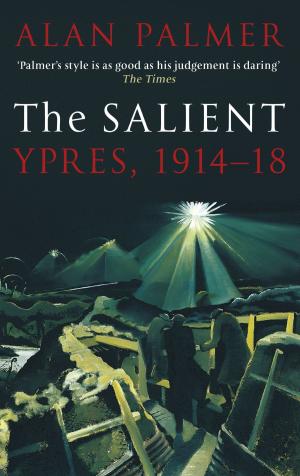 Cover of the book The Salient by Stephen Bloomfield