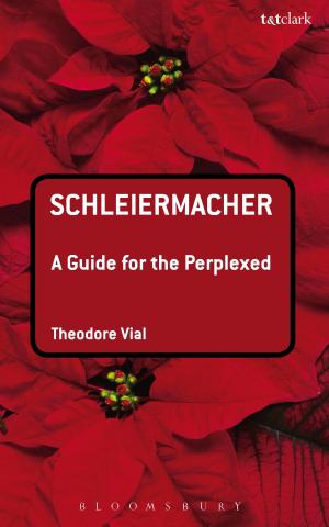 Cover of the book Schleiermacher: A Guide for the Perplexed by Nicolas Freeling