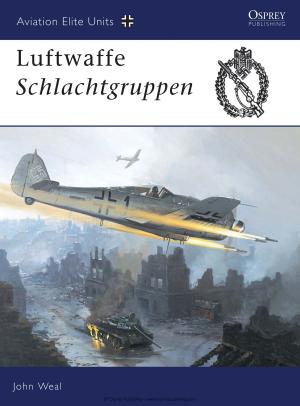 Cover of the book Luftwaffe Schlachtgruppen by Gordon Williamson
