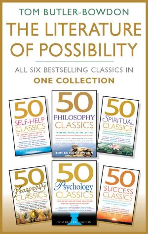 bigCover of the book The Literature of Possibility by 