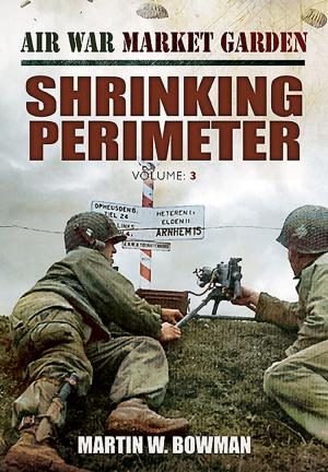 Cover of the book Shrinking Perimeter by Alexander Mikaberidze