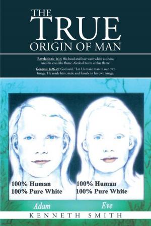 Cover of the book The True Origin of Man by John R. Fischer