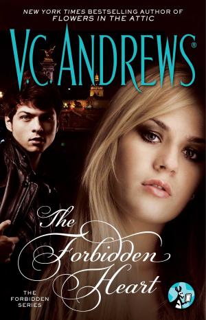 Cover of the book The Forbidden Heart by Jennifer Probst