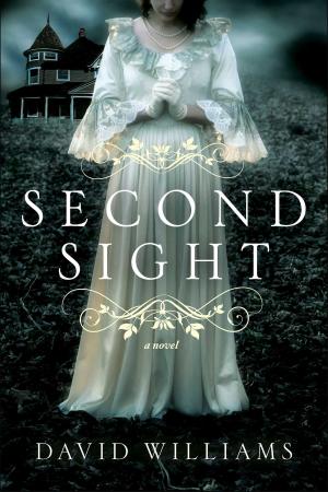 Cover of the book Second Sight by Rebecca Sherwin