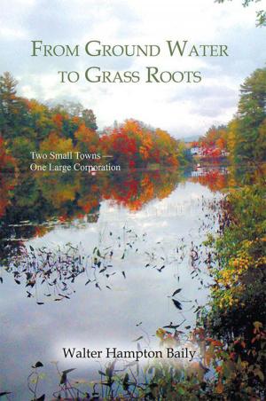 Cover of the book From Ground Water to Grass Roots by Jacqueline S. Williams-Hayes