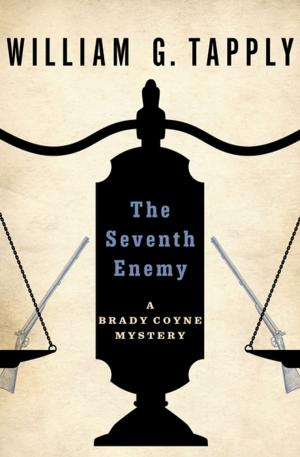 Book cover of The Seventh Enemy