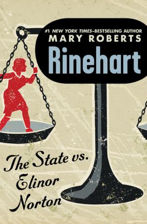 bigCover of the book The State vs. Elinor Norton by 