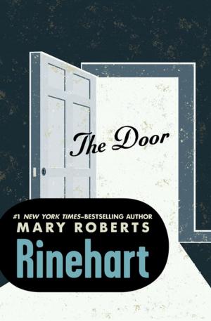 Cover of the book The Door by Bill Fitts