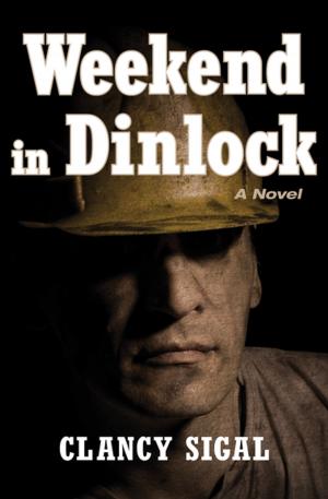 Cover of the book Weekend in Dinlock by Elizabeth Lane