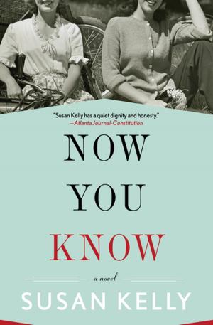 Cover of the book Now You Know by Brendan DuBois