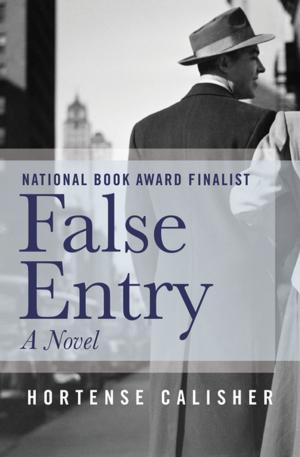 Cover of the book False Entry by Tristan Jones