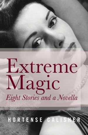 Cover of the book Extreme Magic by Liz Williams