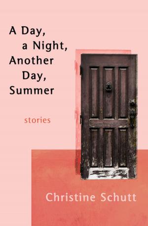 Cover of the book A Day, a Night, Another Day, Summer by John Weber