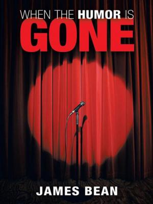 Cover of the book When the Humor Is Gone by Ken Olson